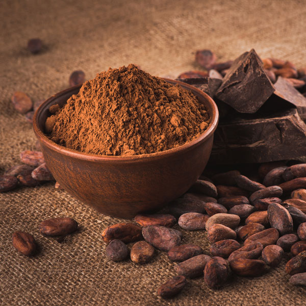 cacao ecológico