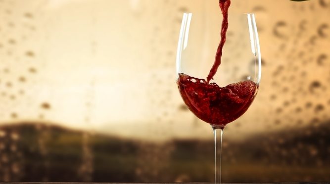 El vino ecológico y sus grandes beneficios para la salud